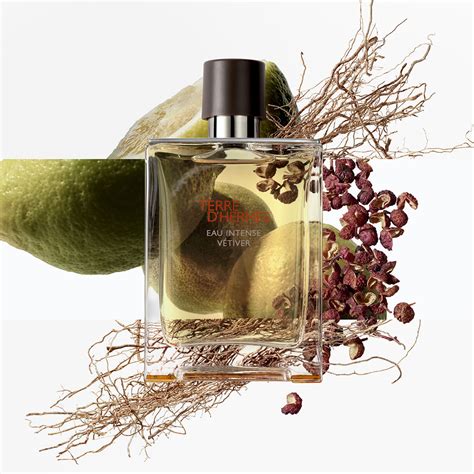 terre d'hermes perfume for women.